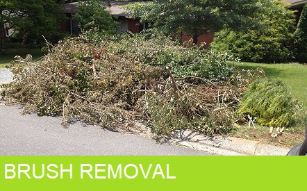 BRUSH removal delaware junk removal trash removal debris removal couch removal shed removal garage removal debris removal wilmington delaware newark delaware hockesson delaware new castle delaware