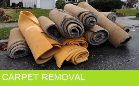 carpet removal junk removal trash removal delaware wilmington delaware new castle delaware middletown delaware dover delaware de first state