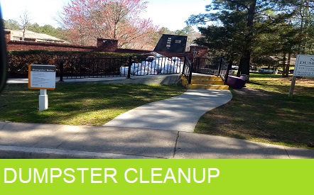 Dumpster cleanup delaware junk removal delaware trash removal delaware middletown delaware  kent county new castle county