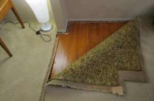 carpet removal cost in delaware