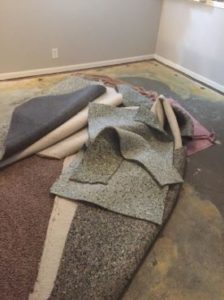 carpet removal near me in delaware
