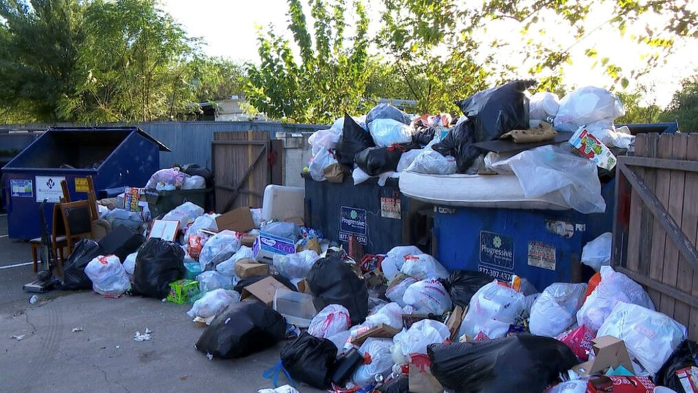 delaware dumpster area clean up
